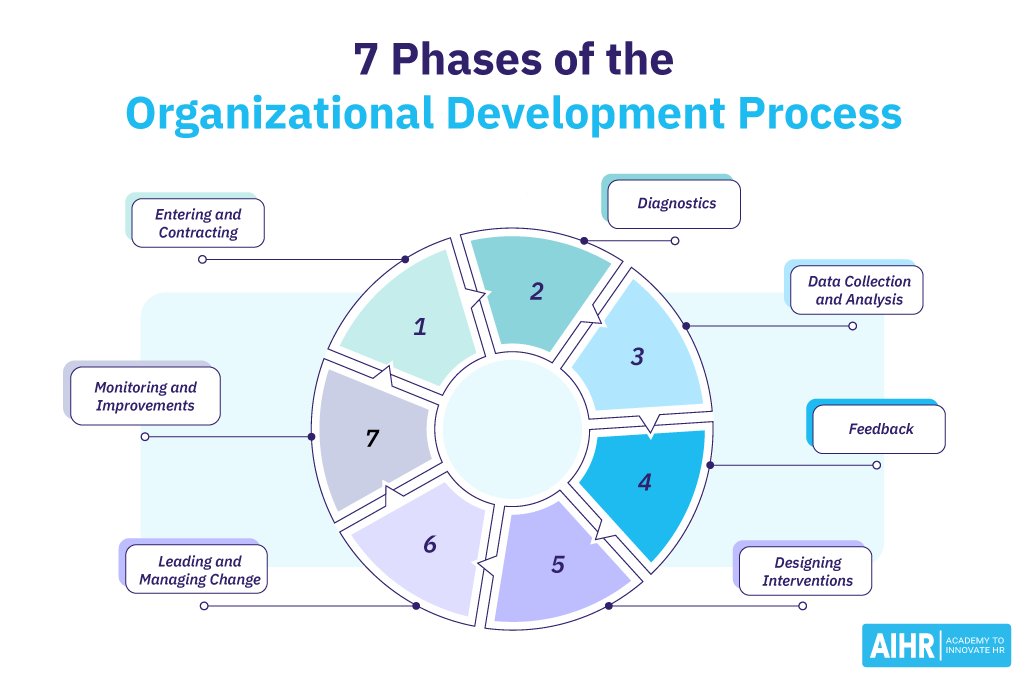 7 Phases of an Organizational Development Project