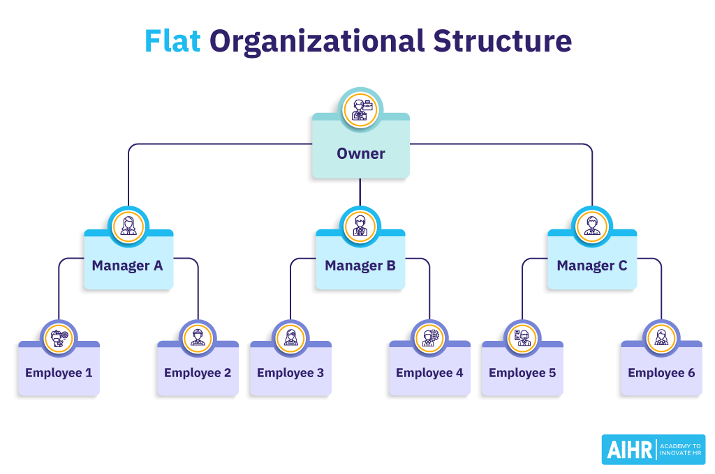 Example of an organization with a flat structure.