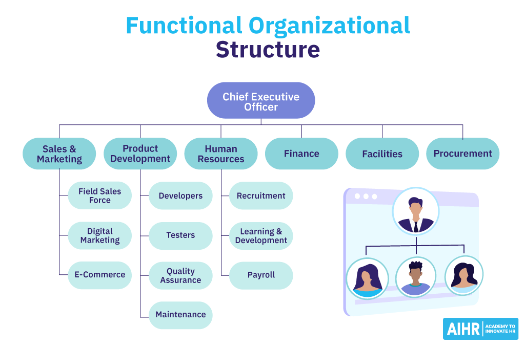 Example of an organization with a functional organizational structure.
