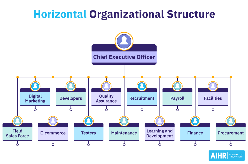 Horizontal organizational structure example.