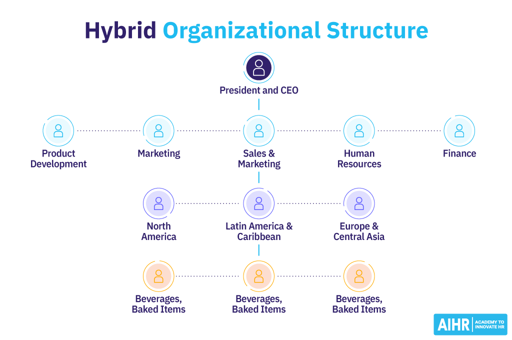 Example of an organization with a hybrid organizational structure.