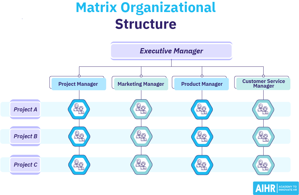 Example of an organization with a matrix organizational structure.