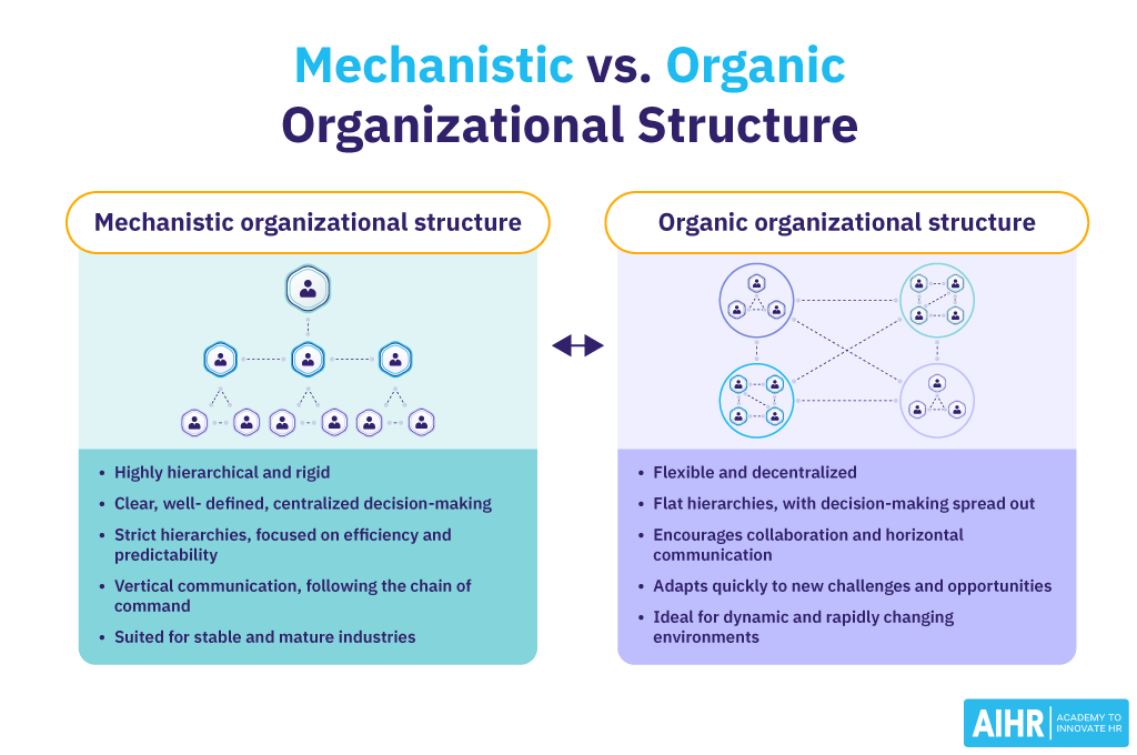 Main differences between a mechanistic and an organic organizational structure.