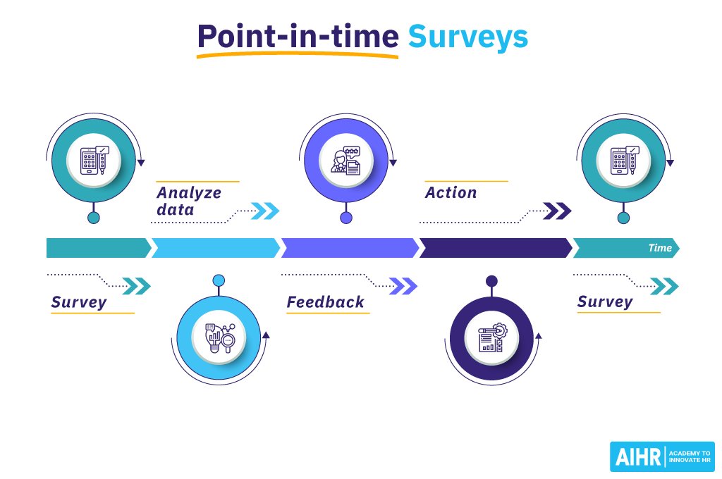 Point-in-time Surveys